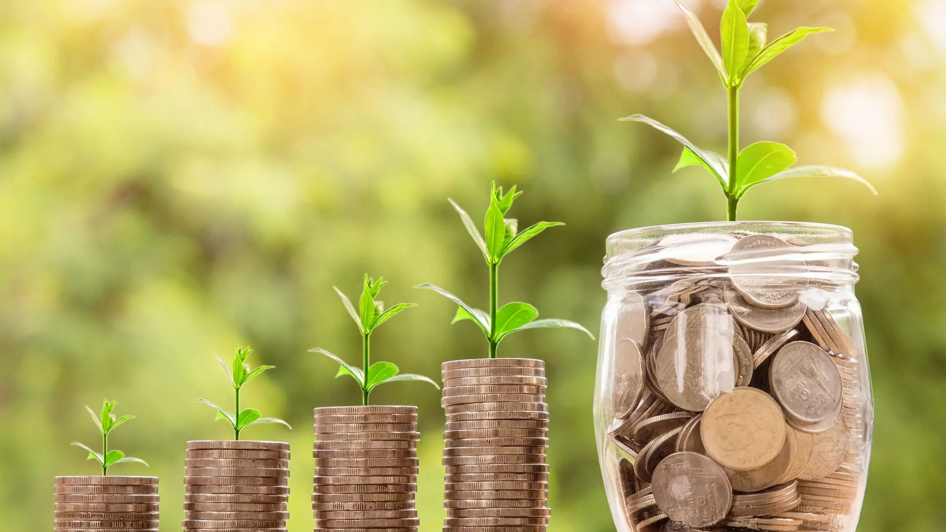 Staatliche Fördermittel seit Januar 2020 verfügbar – wir beraten Sie! Vereinbaren Sie doch einfach einen persönlichen Termin mit uns.